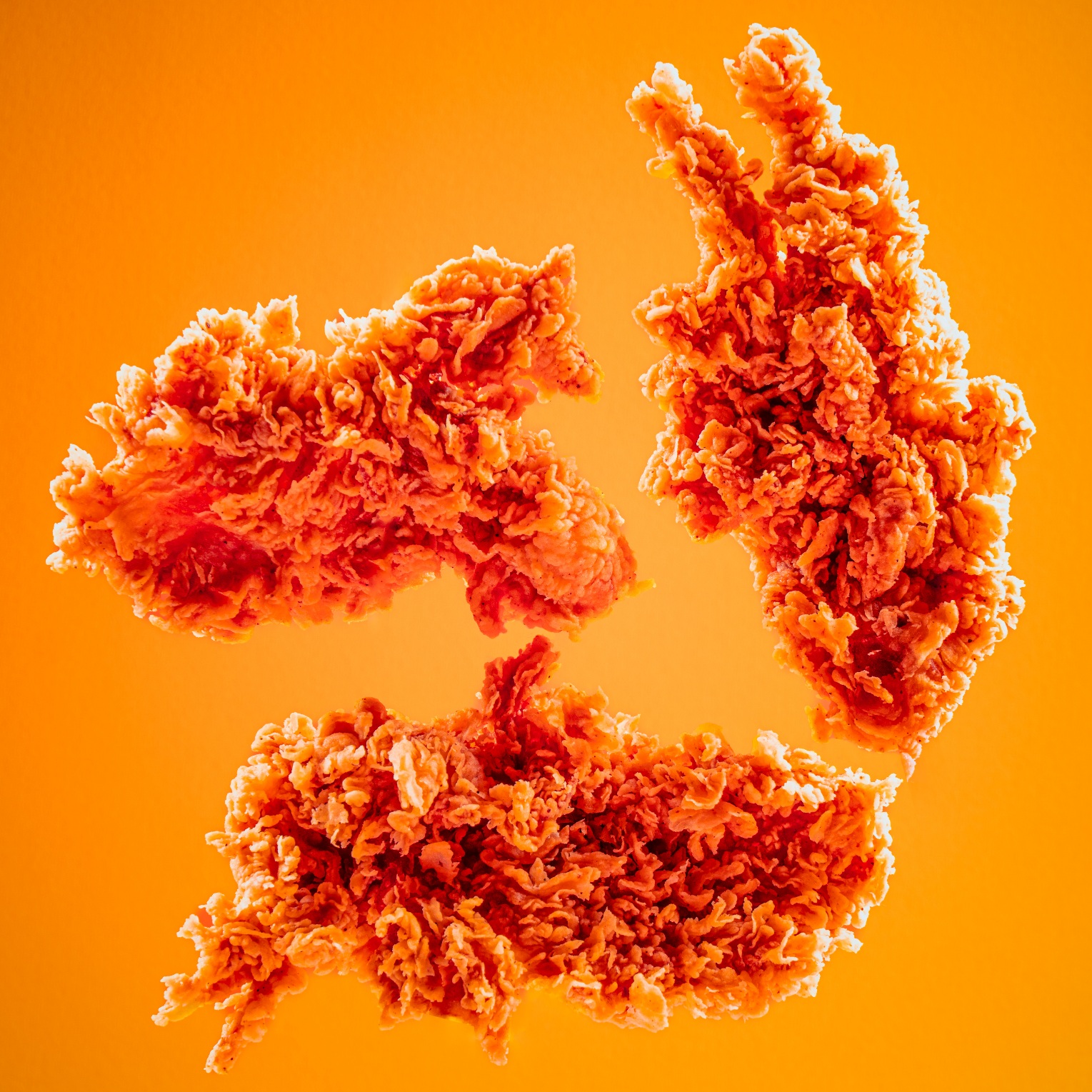 فیله اسپایسی